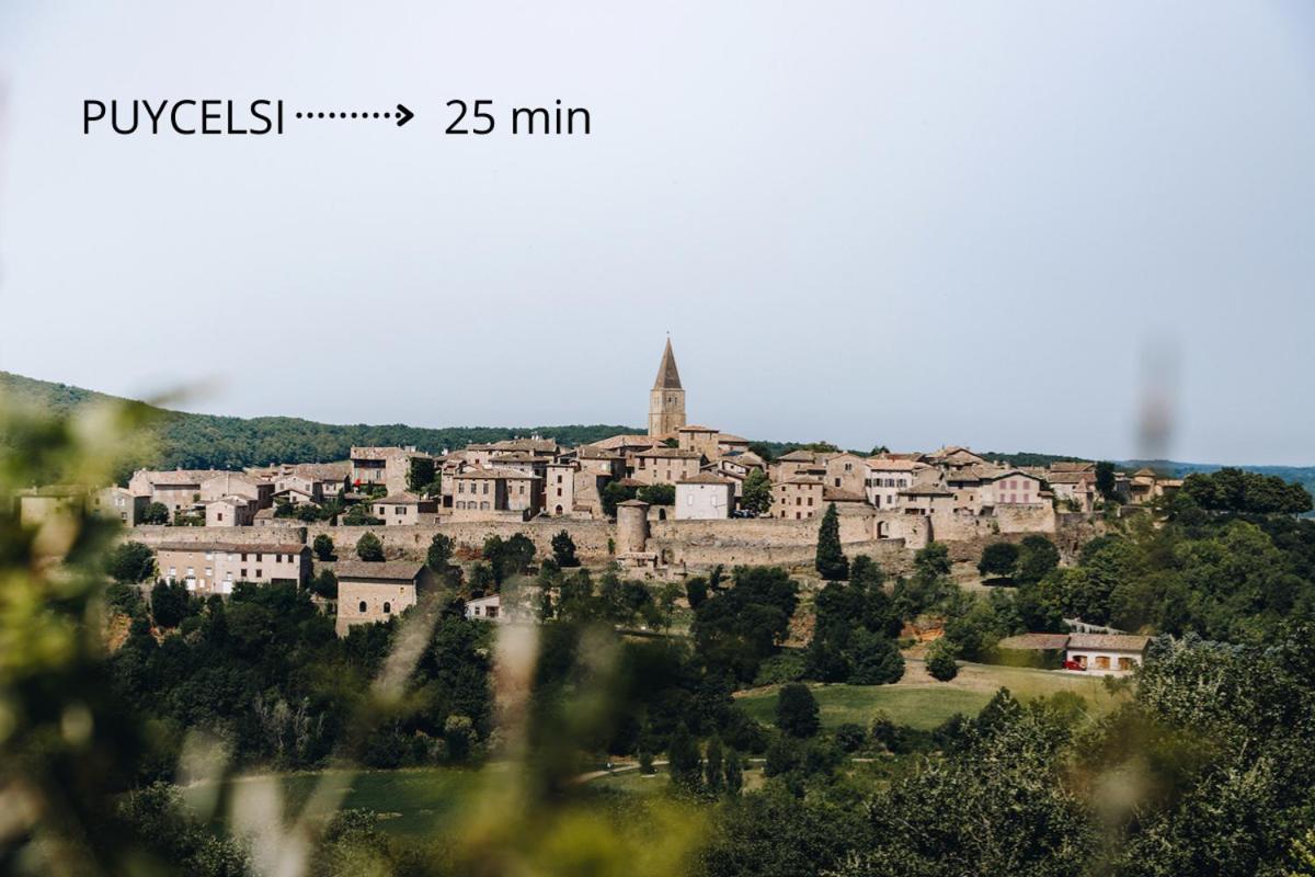 Jolie Maison - Calme - Jardin - Gaillac Eksteriør billede